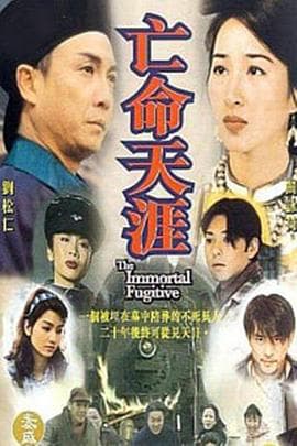 亡命天涯国语海报